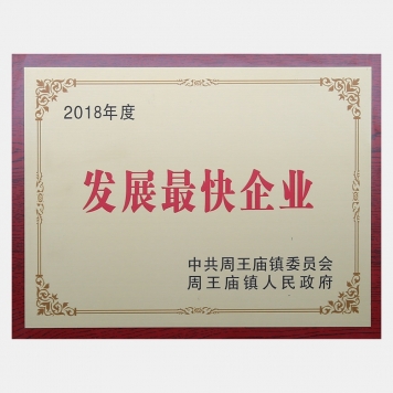 The fastest growing company in 2018